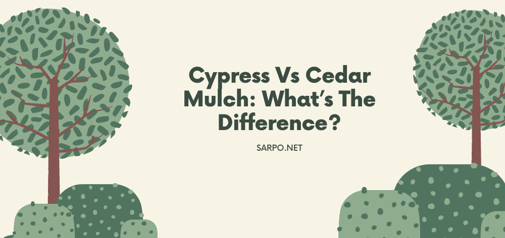 Cypress Vs Cedar Mulch: What's The Difference? 1 Cypress Vs Cedar Mulch