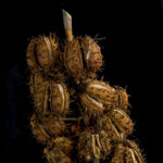 10 Tree Seed Pod Identification Pictures: A Proper Guide 5 How do I identify a seed pod?