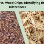 Bark Mulch vs. Wood Chips: Identifying the Key Differences 4 Bark Mulch vs. Wood Chips