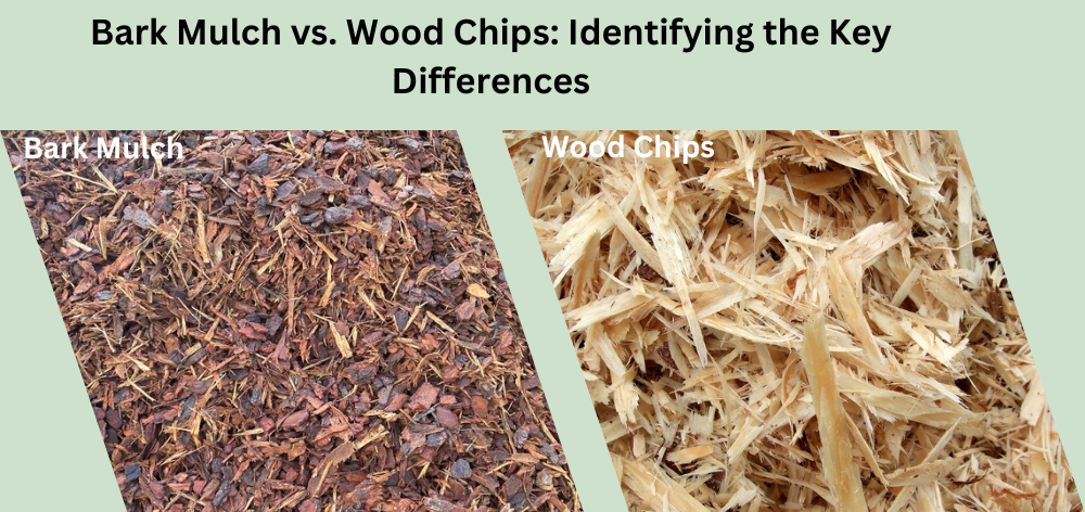 Bark Mulch vs. Wood Chips: Identifying the Key Differences 1 Bark Mulch vs. Wood Chips