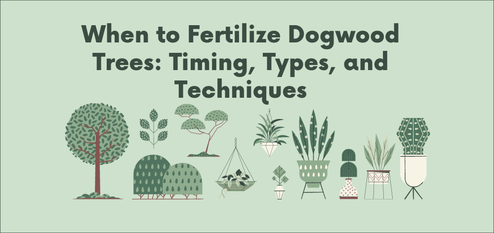A Guide to Growing and Caring for Epsom Salt and Dogwood Trees 1 When to Fertilize Dogwood Trees