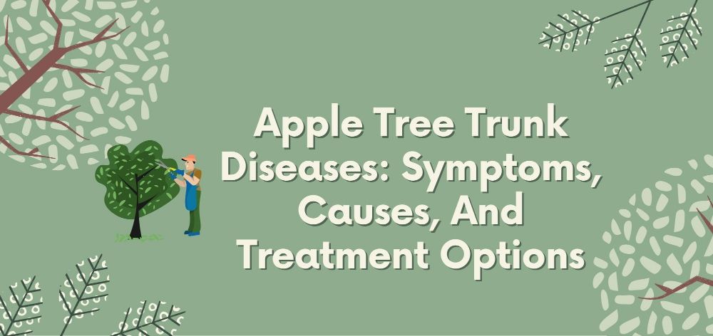 Apple Tree Trunk Diseases: Symptoms, Causes, And Treatment Options 1 apple tree trunk diseases