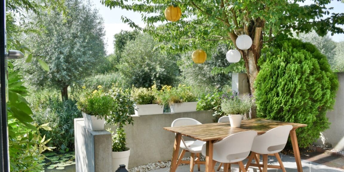 Discover the Top Plants for Shaded Areas: Transform Your Garden Today! 1 Best Plants for Shaded Areas