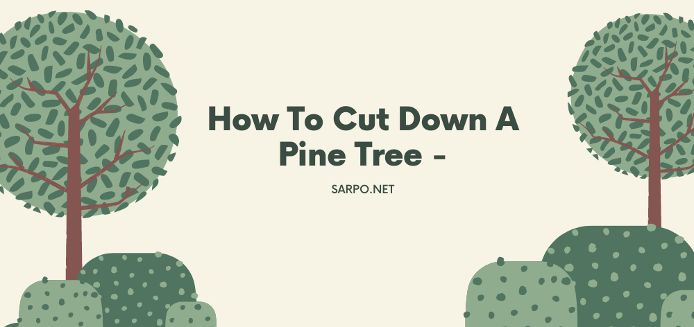 How to Cut Down a Pine Tree 1 How to Cut down a Pine Tree